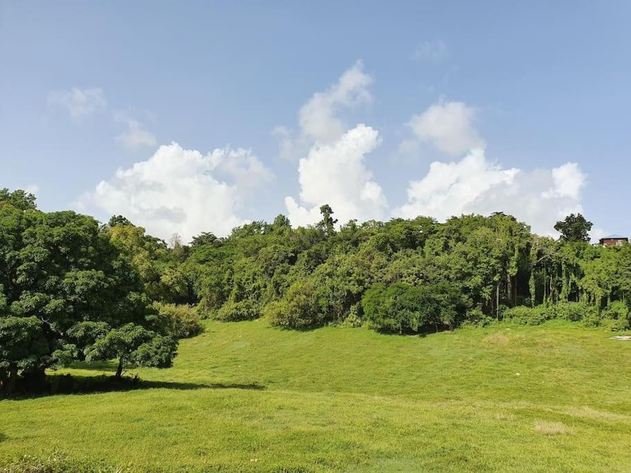 Villa Aichy Rabi 外观 照片